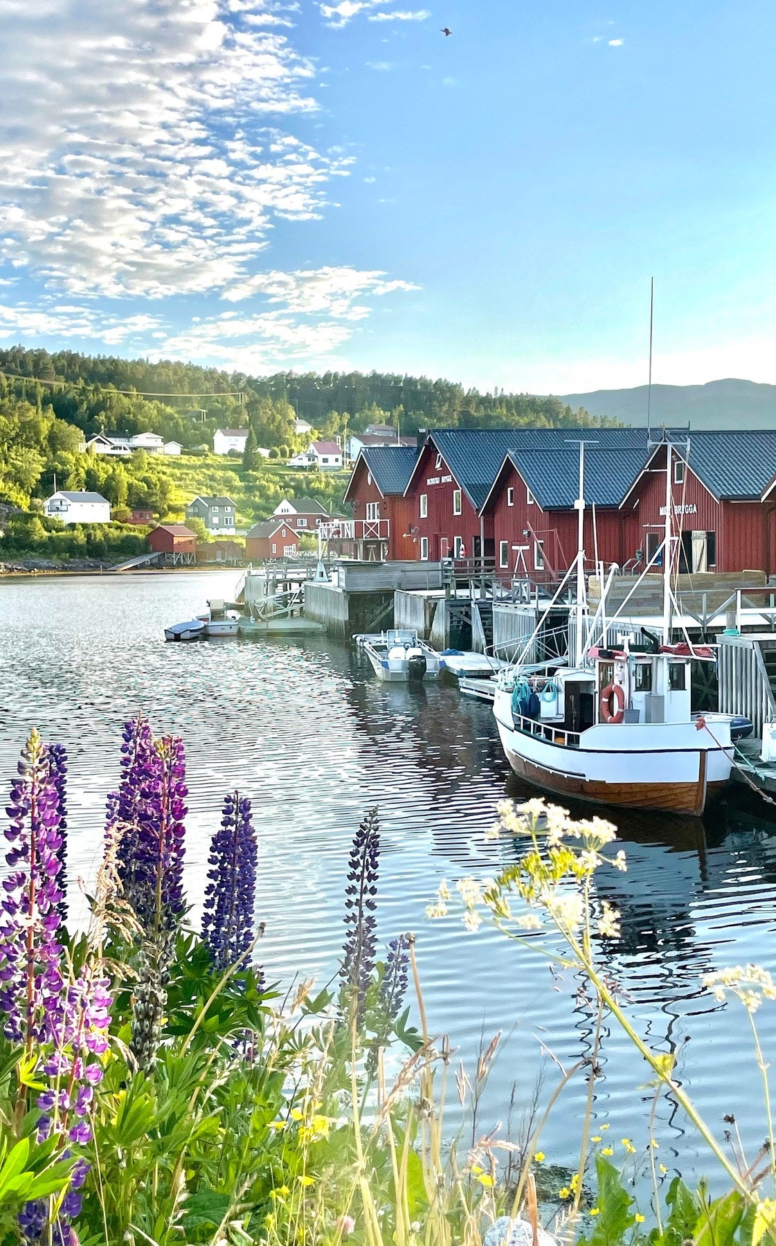 Idyllisk og maritimt Galleribilde