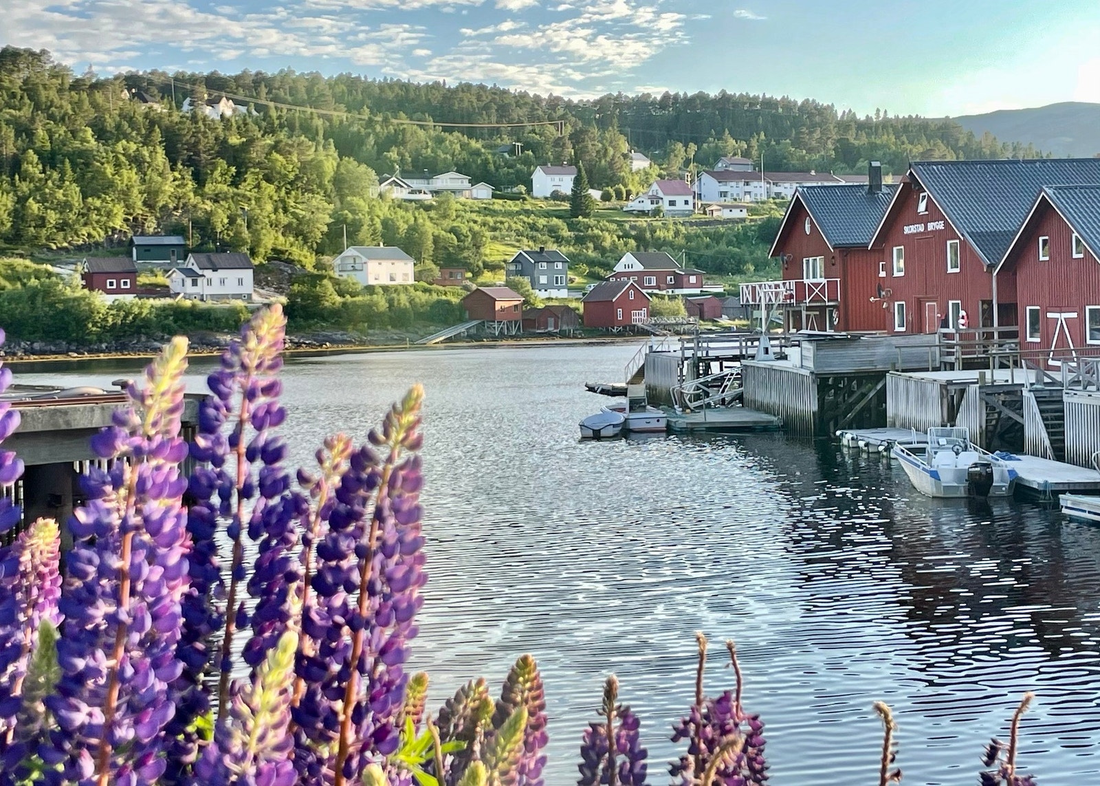 Fritidseiendom beliggende i flotte omgivelser på Statland Galleribilde