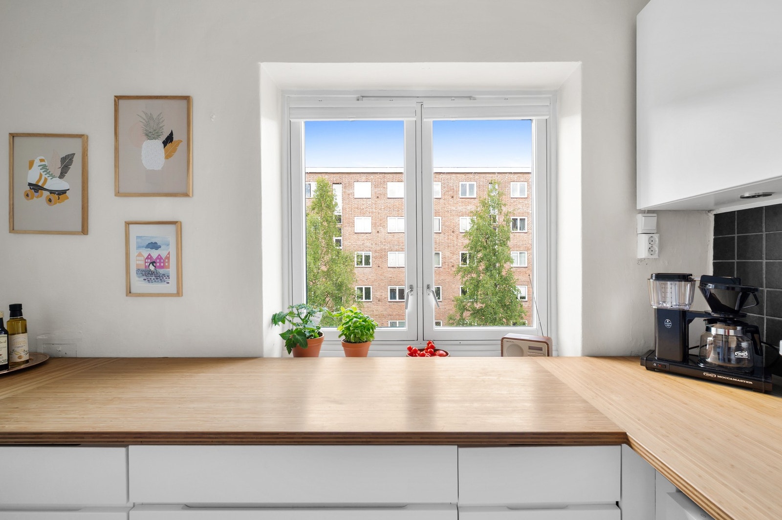 Heltre benkeplate. Galleribilde