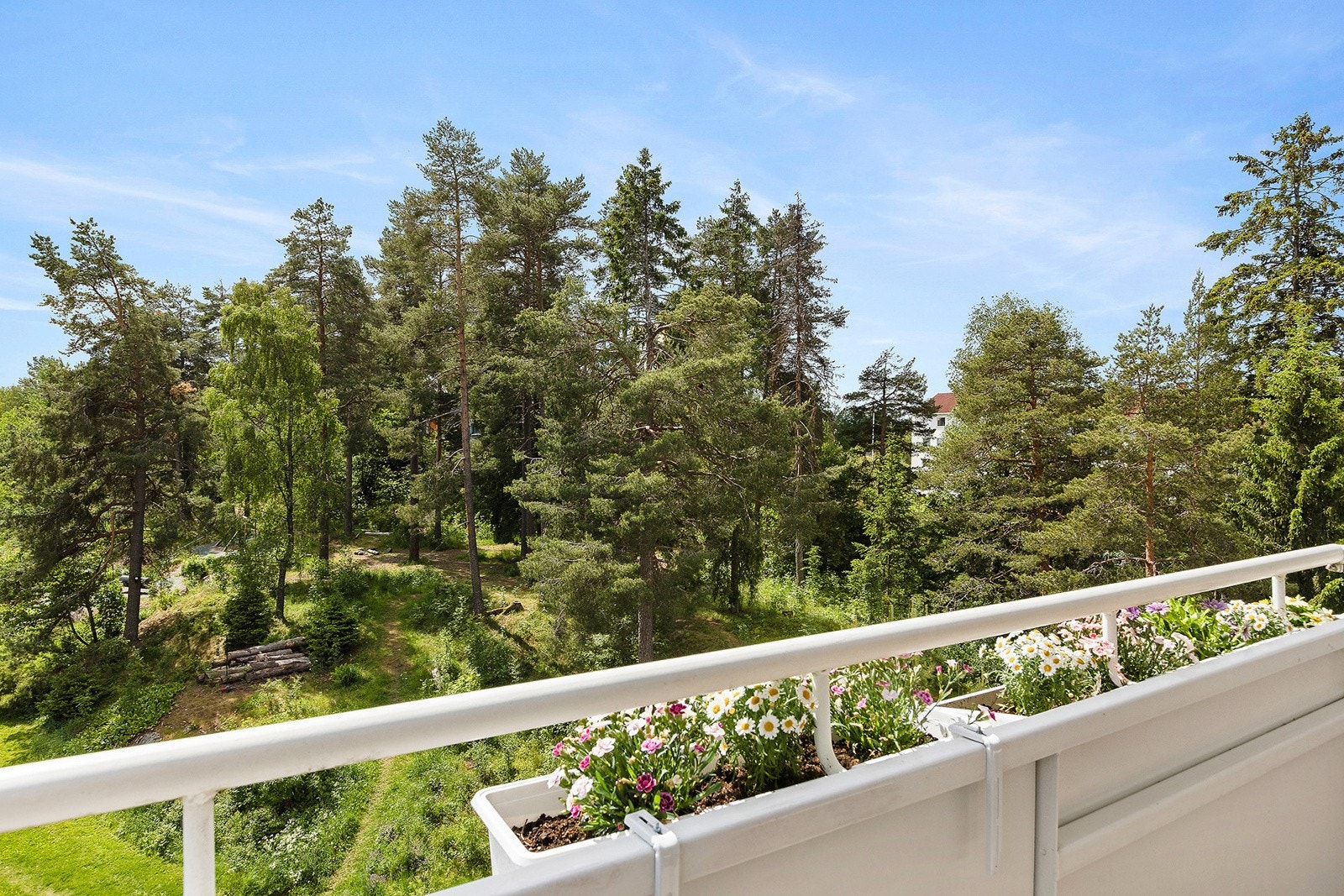 Utsyn fra balkongen. Galleribilde
