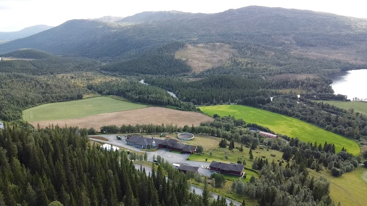 Kveaunet Gård Galleribilde