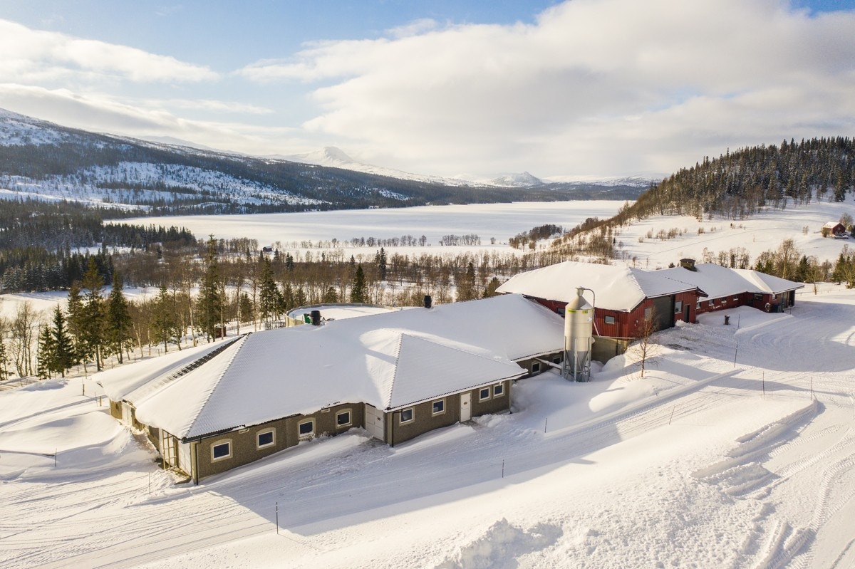 Kveaunet Gård - driftsbygning Galleribilde