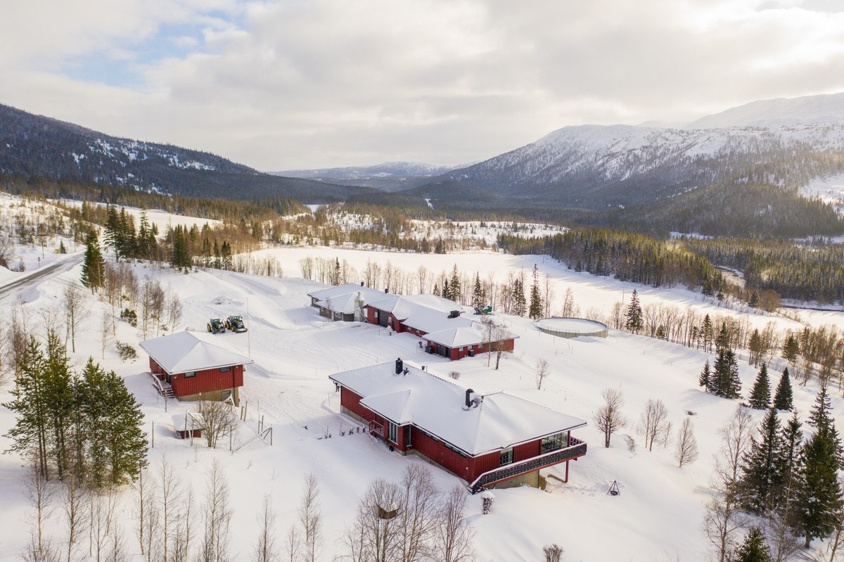 Kveaunet Gård Galleribilde