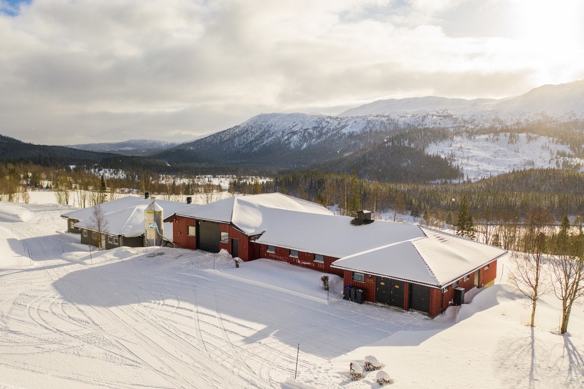 Kveaunet Gård Galleribilde