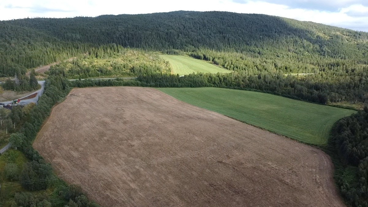 Kveaunet Gård Galleribilde