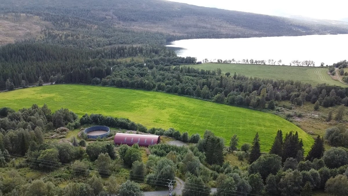 Kveaunet Gård Galleribilde