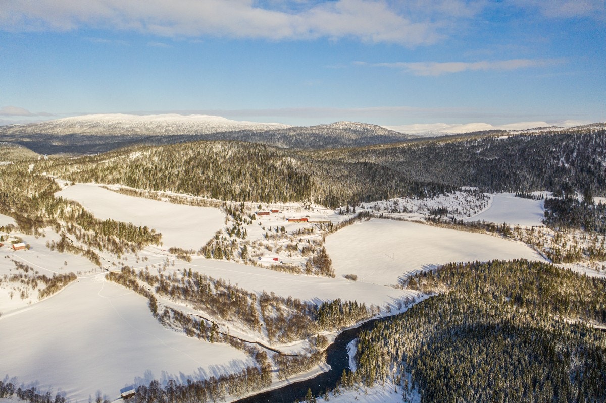 Kveaunet Gård Galleribilde