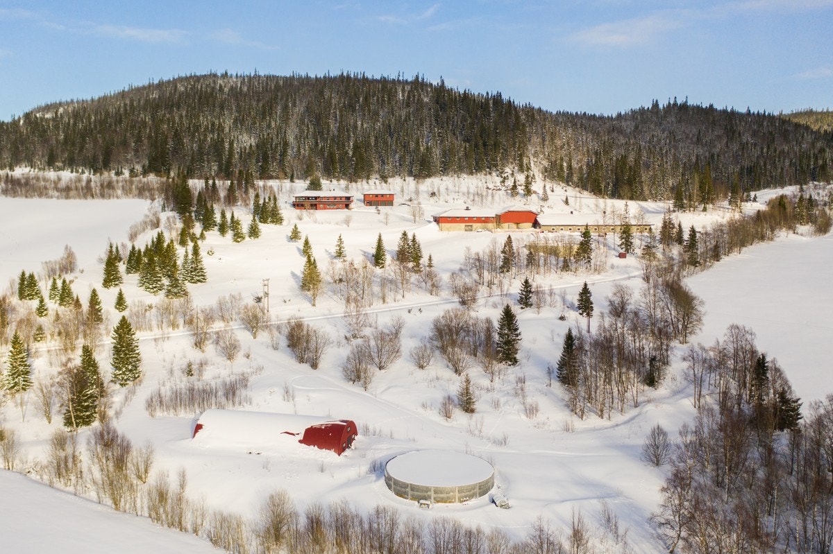 Kveaunet Gård Galleribilde