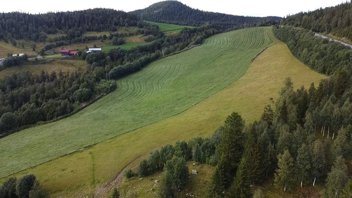 Kveaunet Gård Galleribilde