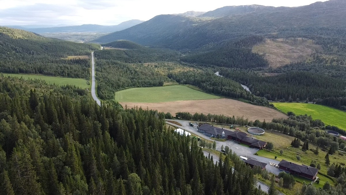 Kveaunet Gård Galleribilde