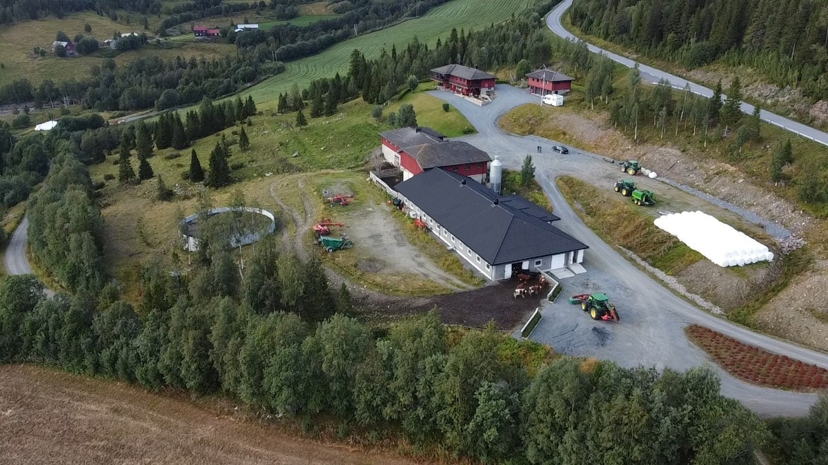 Kveaunet Gård Galleribilde