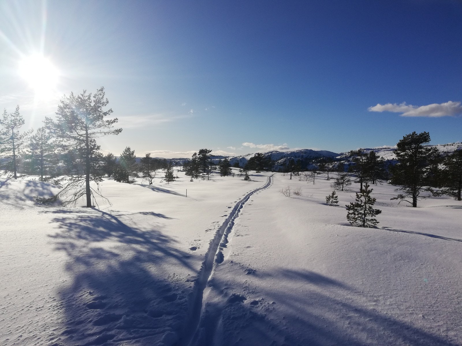 Selgers private bilde Galleribilde