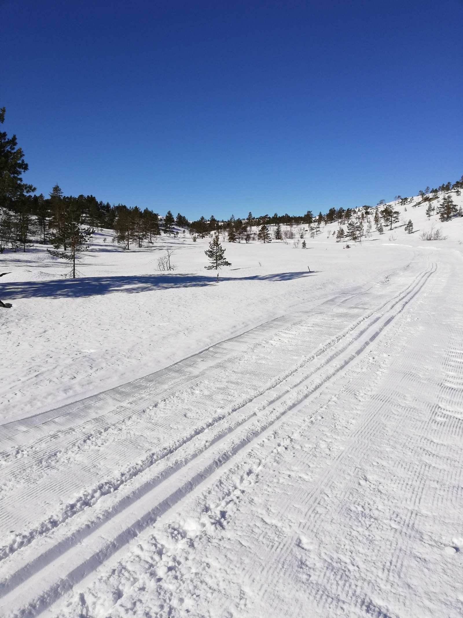 Selgers private bilde av flotte skiløyper i området! Galleribilde