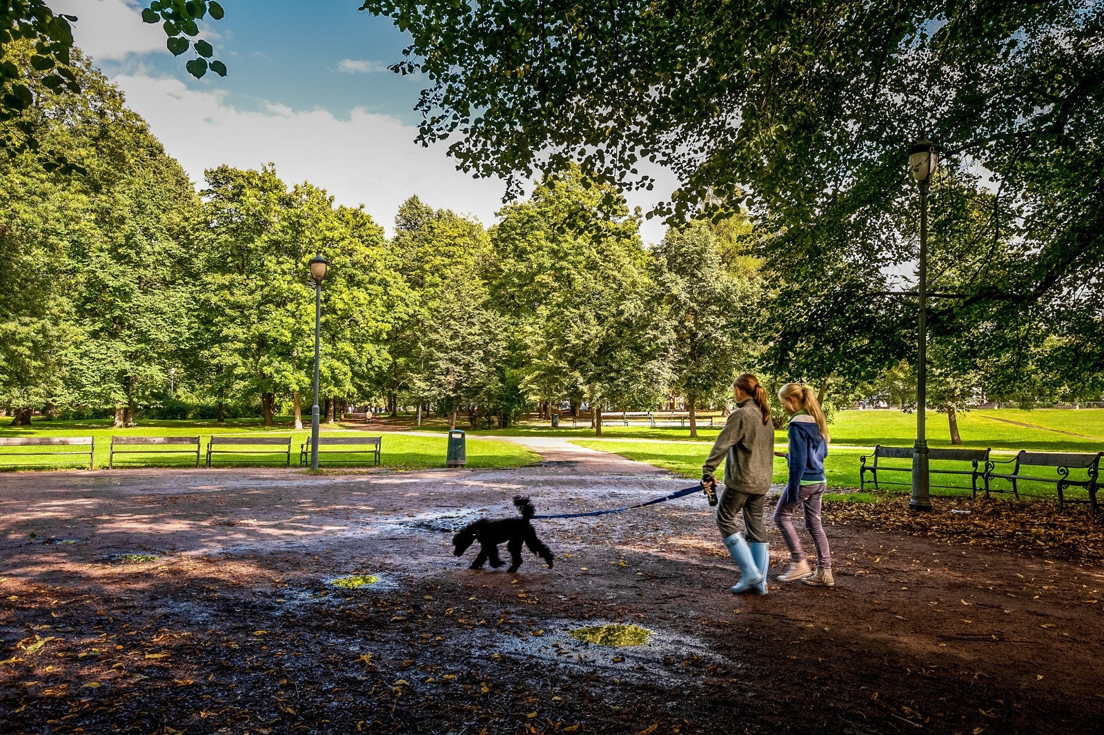 Her bor dere i sentrale omgivelser med kort vei til alt dere ønsker dere! Galleribilde