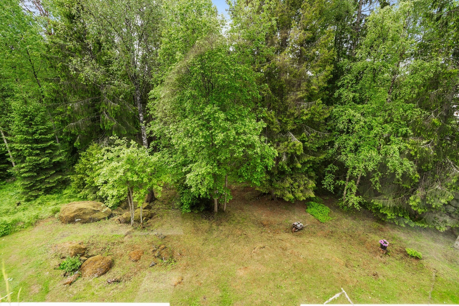 Utsynet fra balkongen/kjøkkenvinduet: her kan du følge med på rådyr, ekorn og fugleliv! Galleribilde