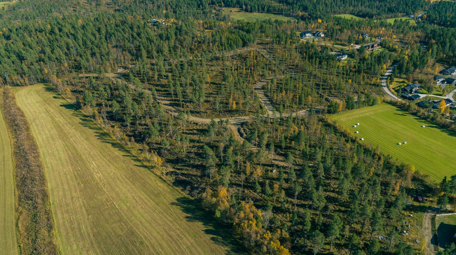 Oversiktsbilde over tomteområdet. Galleribilde