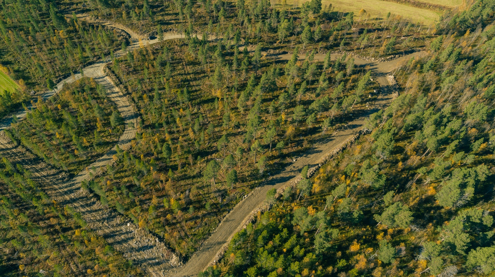 Oversiktsbilde over tomteområdet. Galleribilde