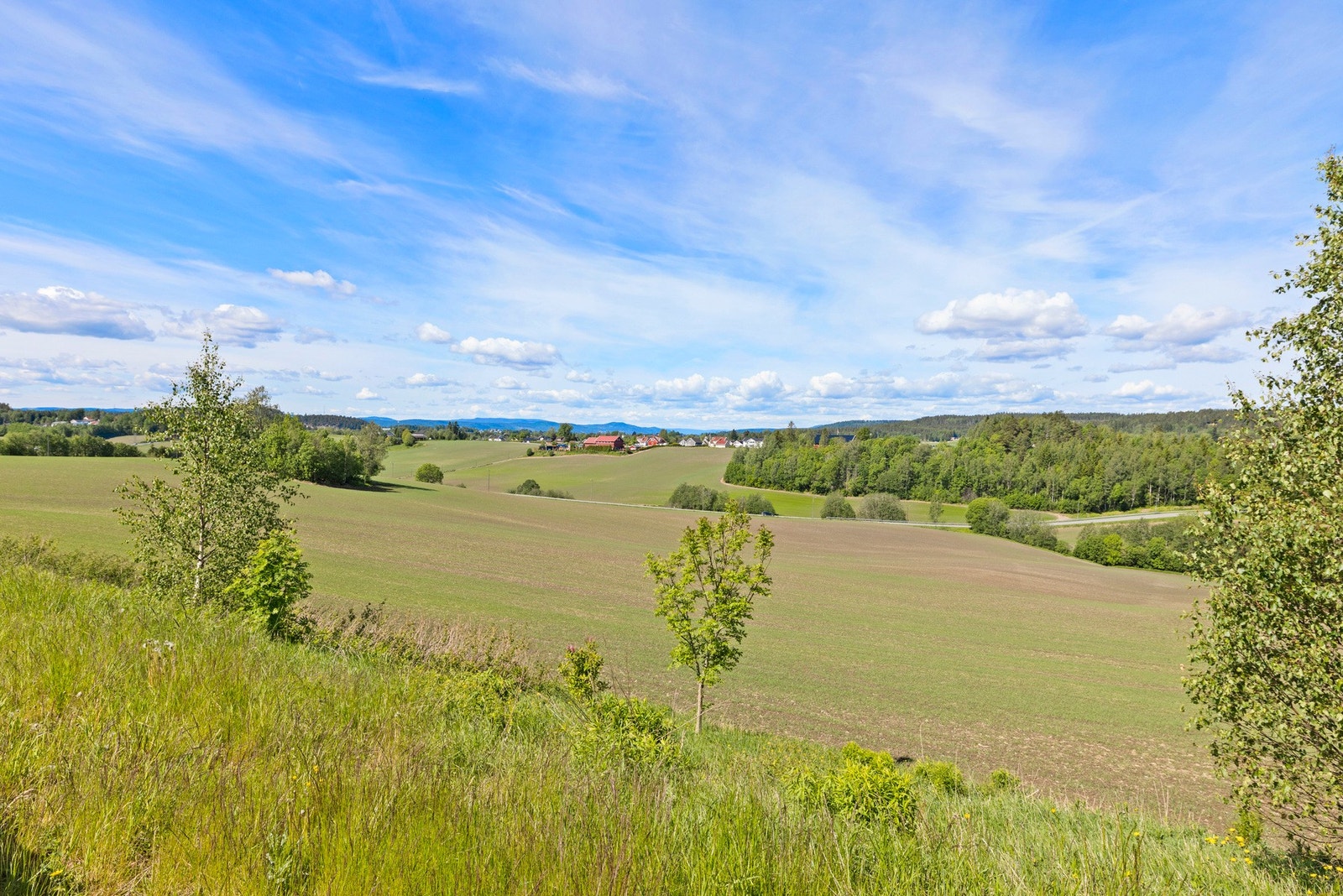 Nærområde Galleribilde