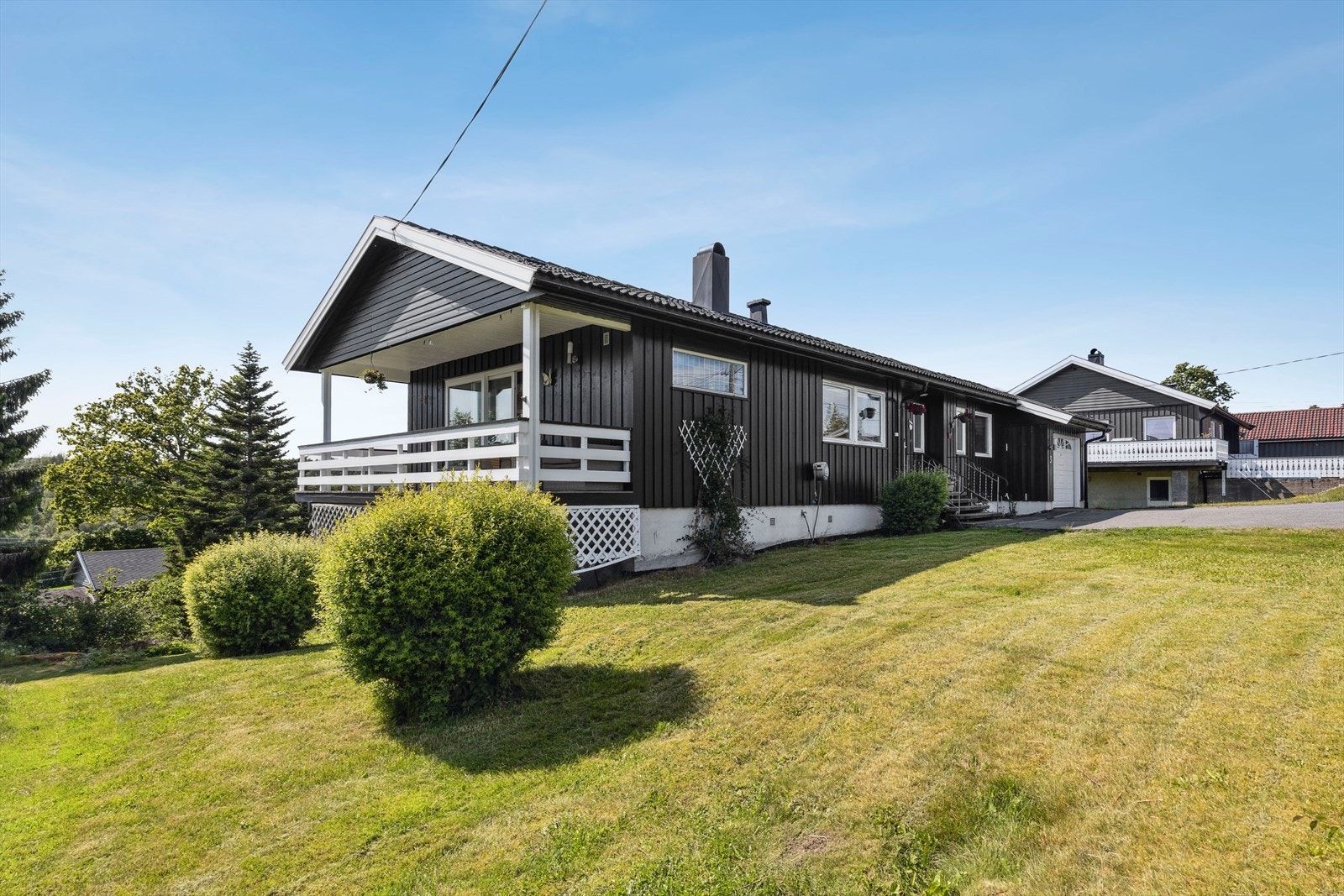 Velkommen til visning! Galleribilde