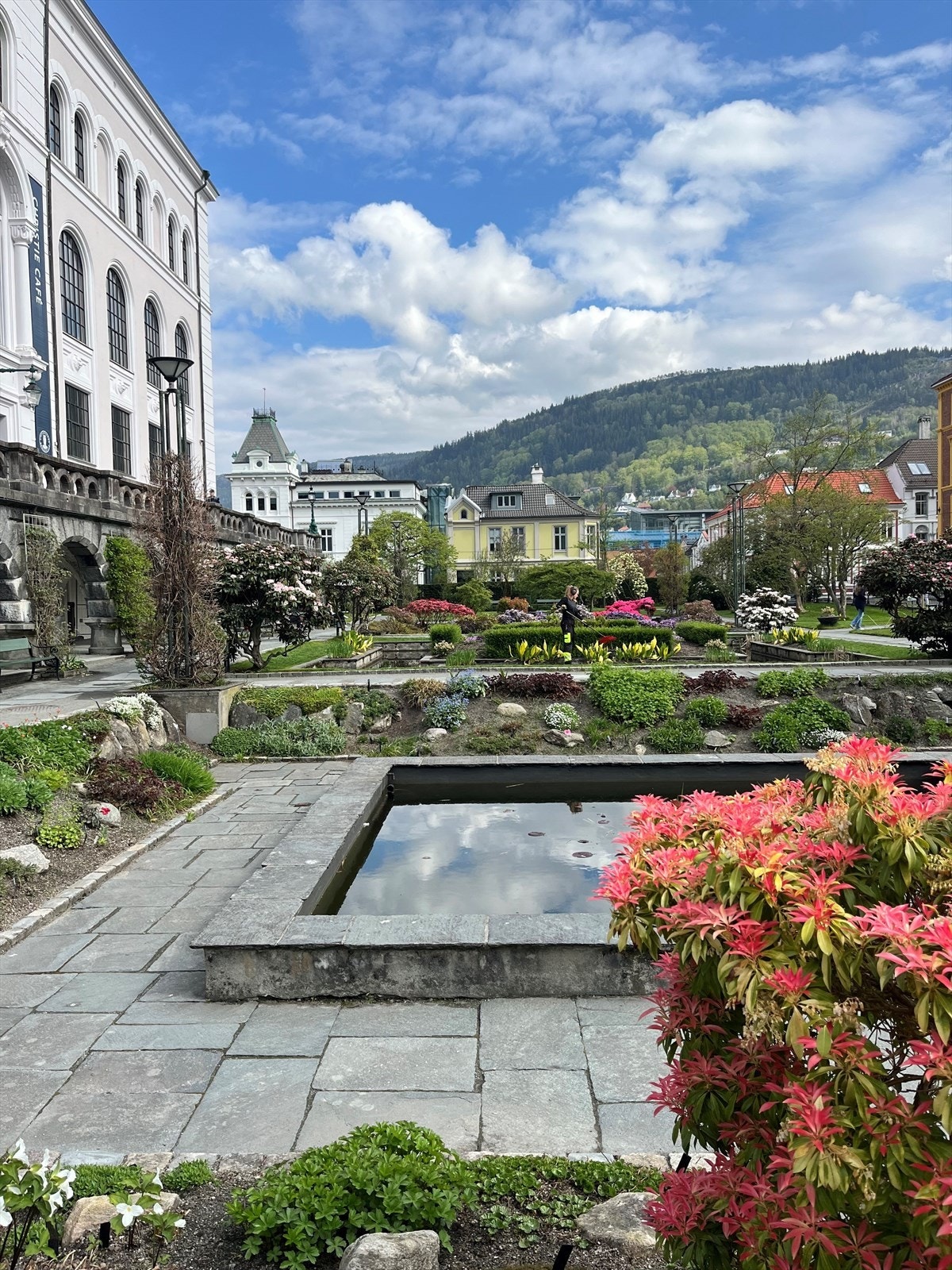 Den botanisk perlen, Musèhagen på Nygårdshøyden, ligger kun et par minutters gange fra leiligheten like ved studentsenteret Galleribilde