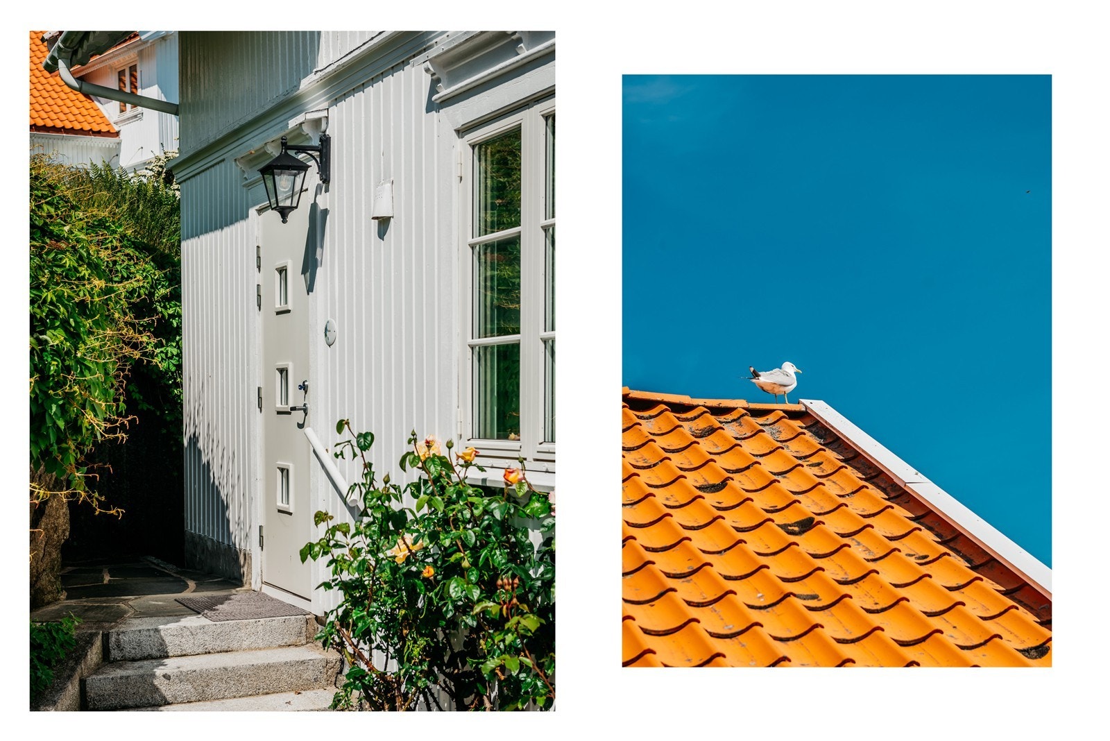 Det er i ferd med og bli for mye av det gode. Til og med Carl Larsson hadde kost seg med penselen sin her Galleribilde