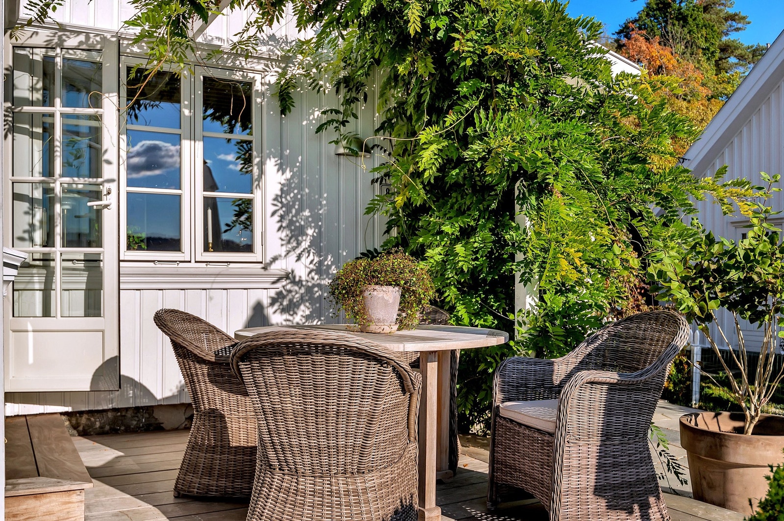 terrasse mot sydvest Galleribilde