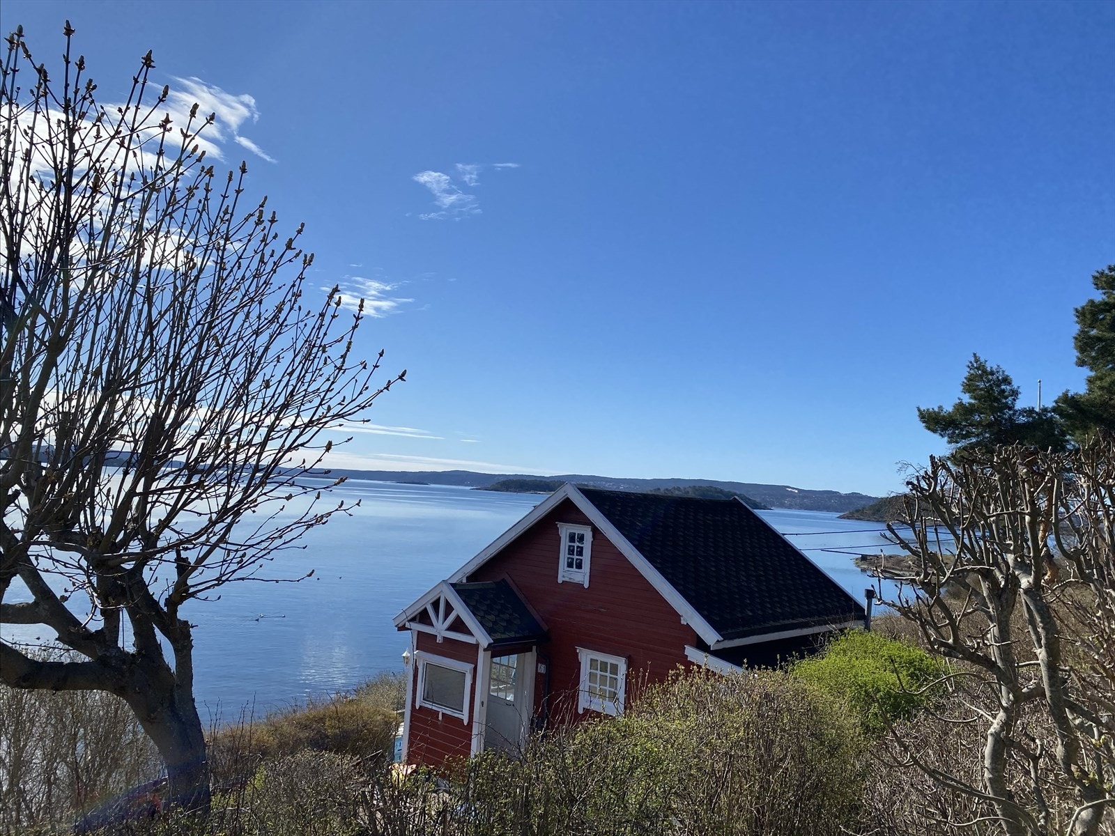 Selgers bilde Galleribilde