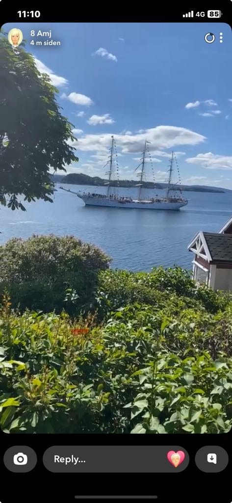 Selgers bilde - stemning Galleribilde