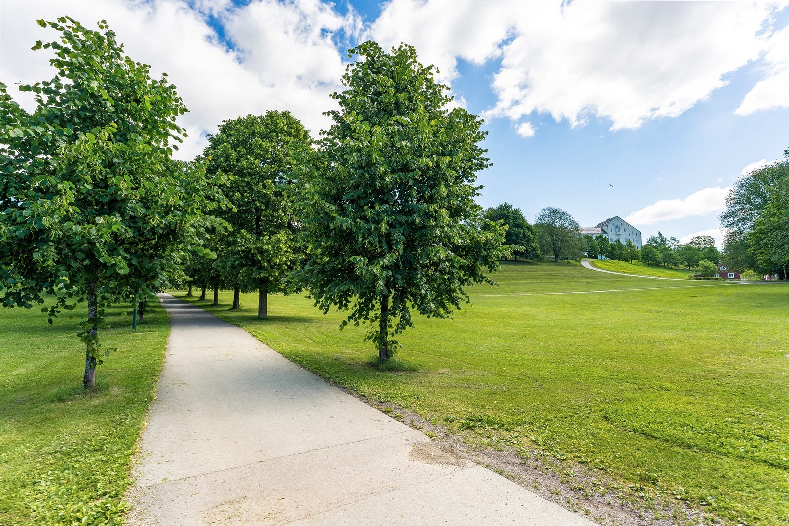 Tøyenparken ligger i gangavstand fra leiligheten. Galleribilde