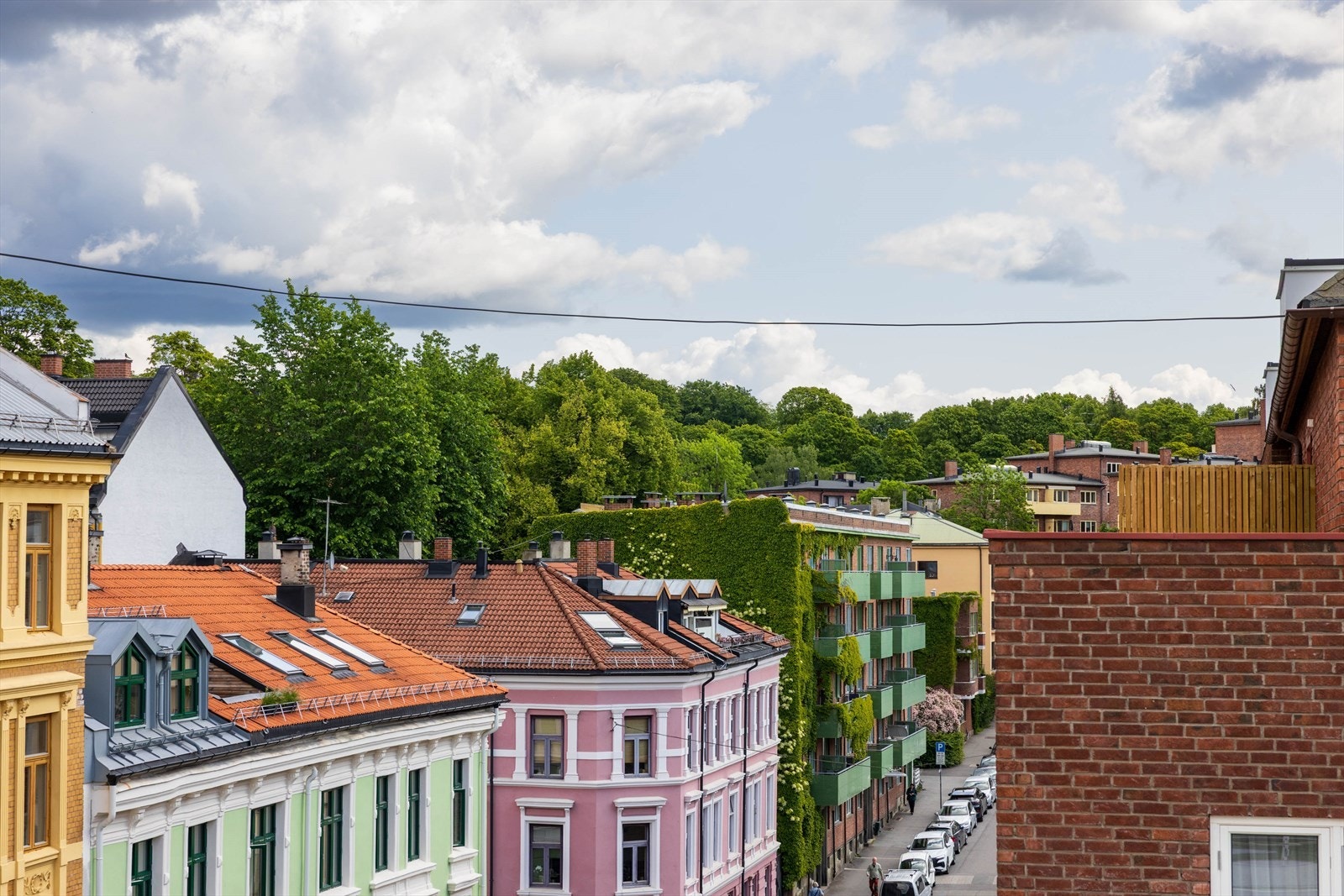 Utsikt mot klassiske gårder og flotte St. Hanshaugen park Galleribilde