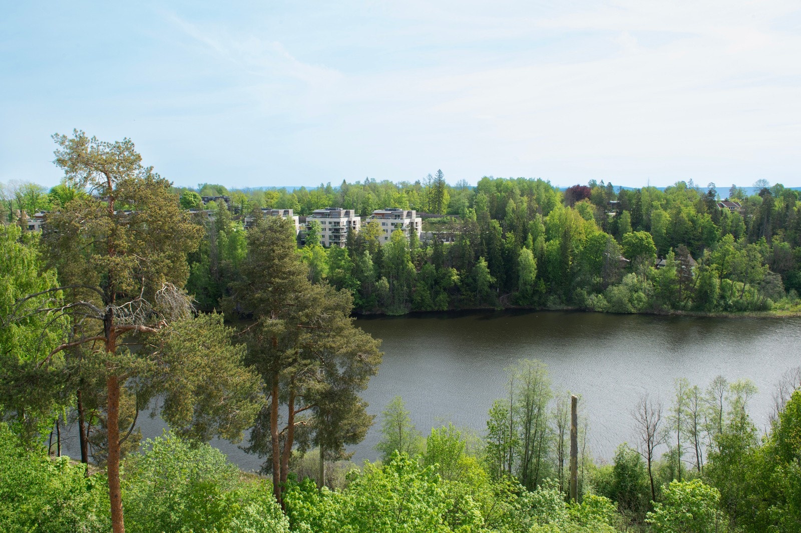 Bondivann Galleribilde