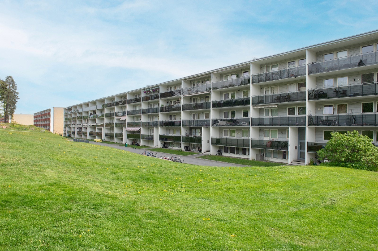Grønne nærområder Galleribilde