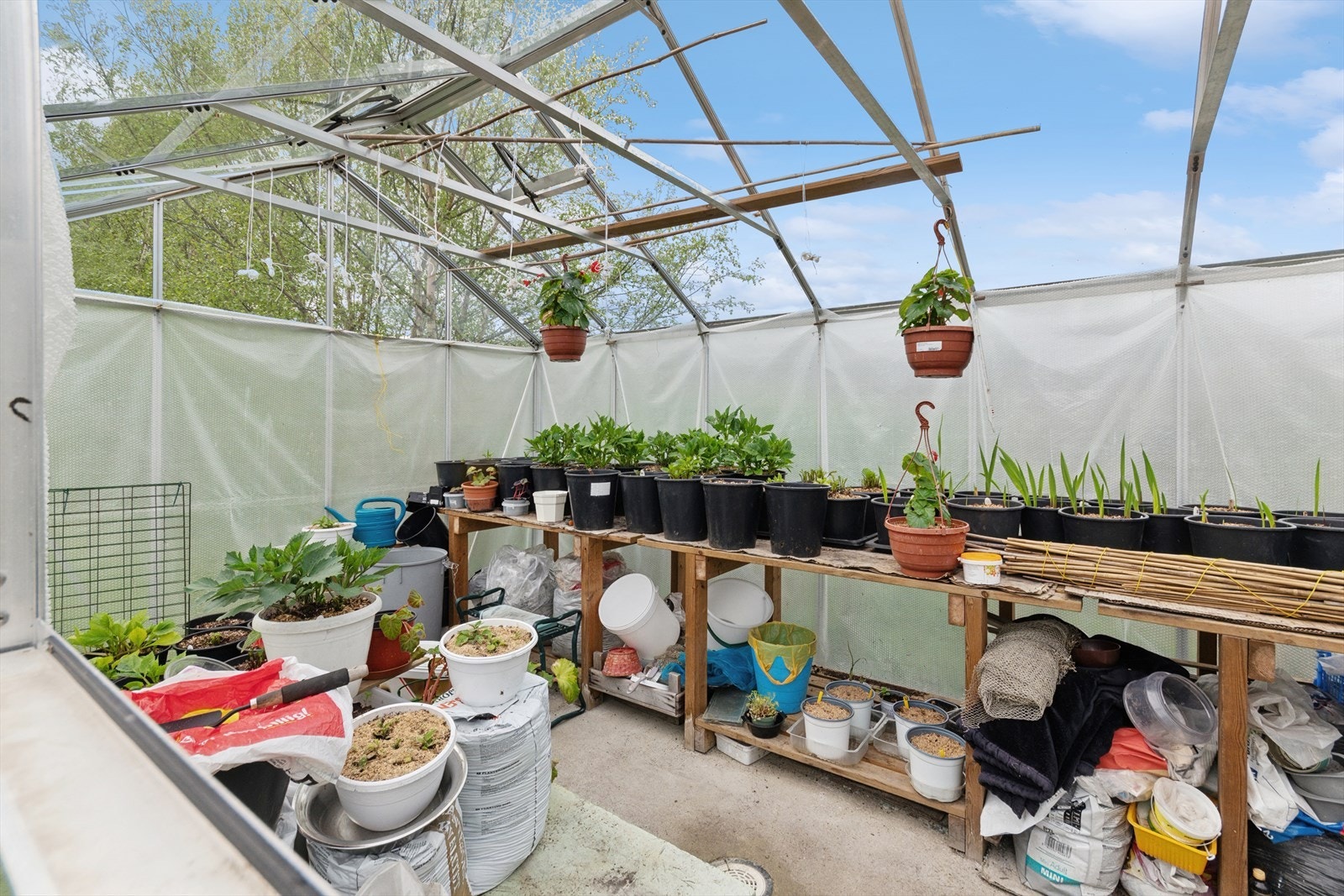 Drivhus med muligheter for selvdyrking. Det ble satt inn to nye takglass 12.06 Galleribilde