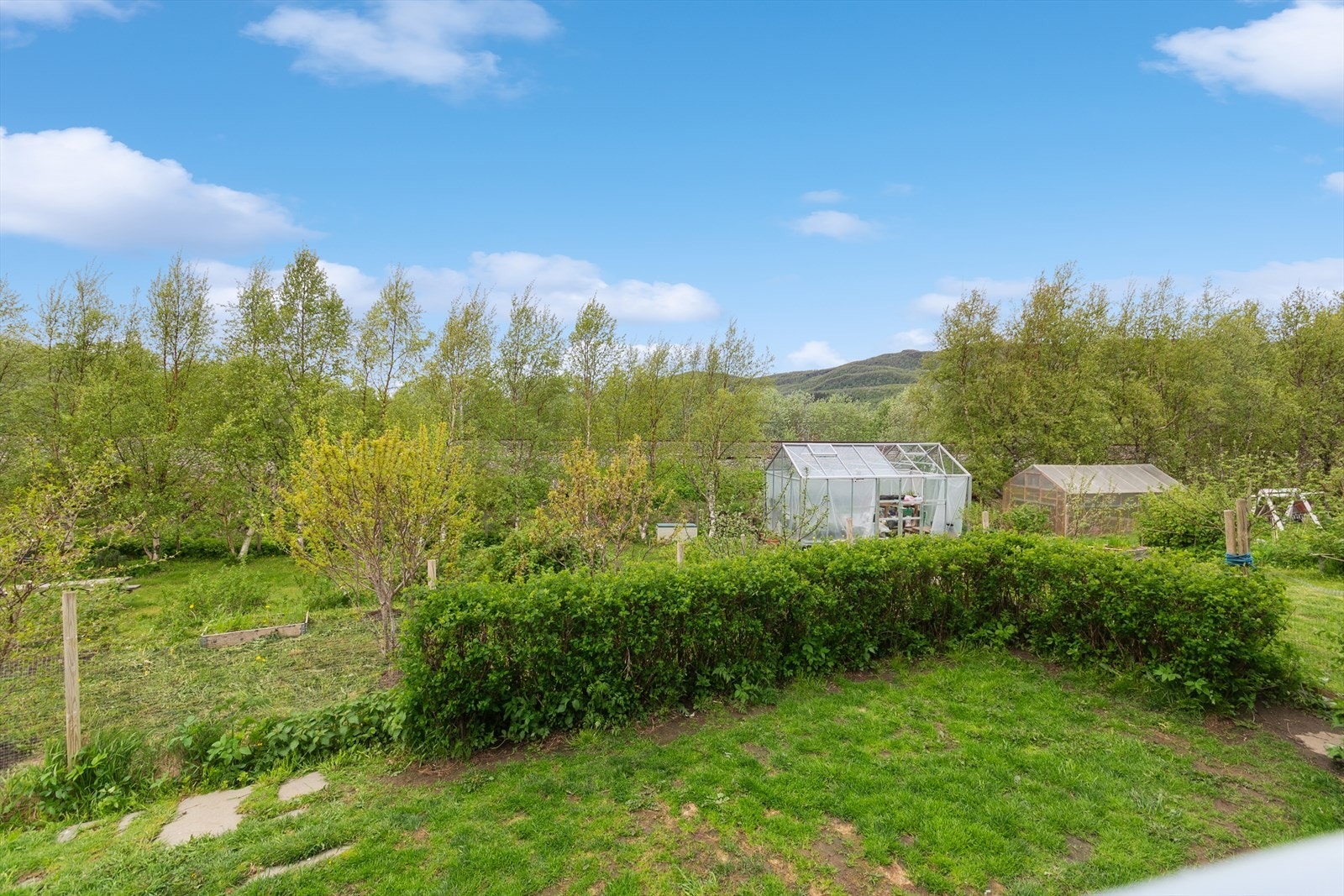 Stor hage med drivhus og god plass for barn, hund, katt og kanskje noen høns? Galleribilde
