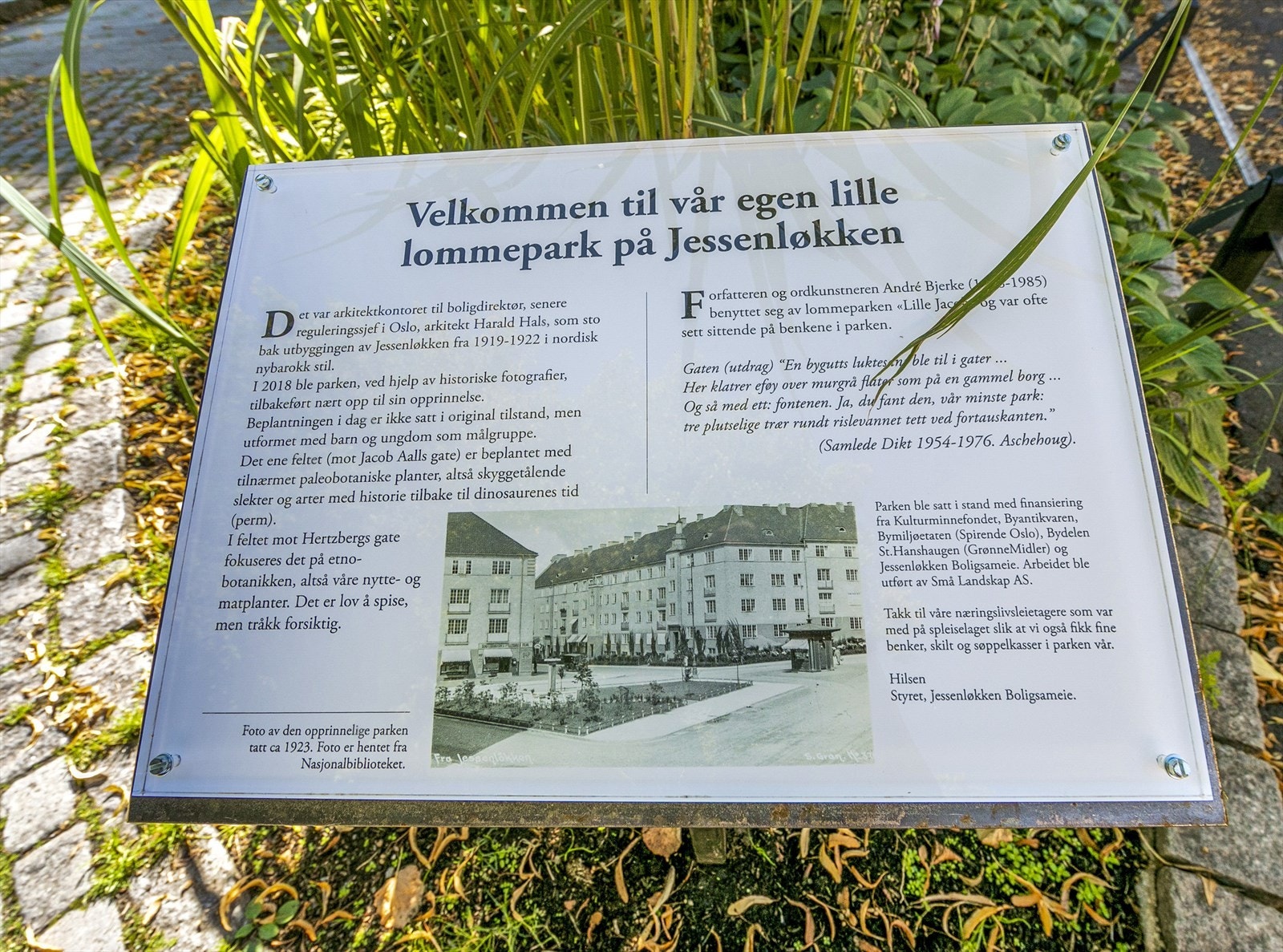 Jessenløkkens lille parkperle - perfekt for en pust i bakken. Galleribilde