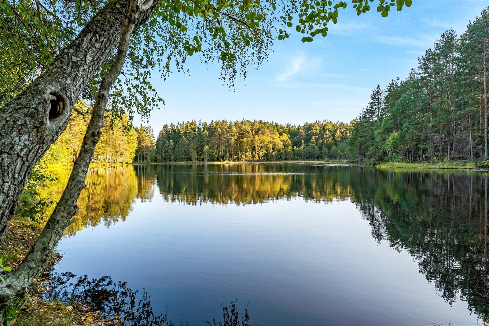 Videre har Østmarka flere flotte bade- og fiskevann. Galleribilde