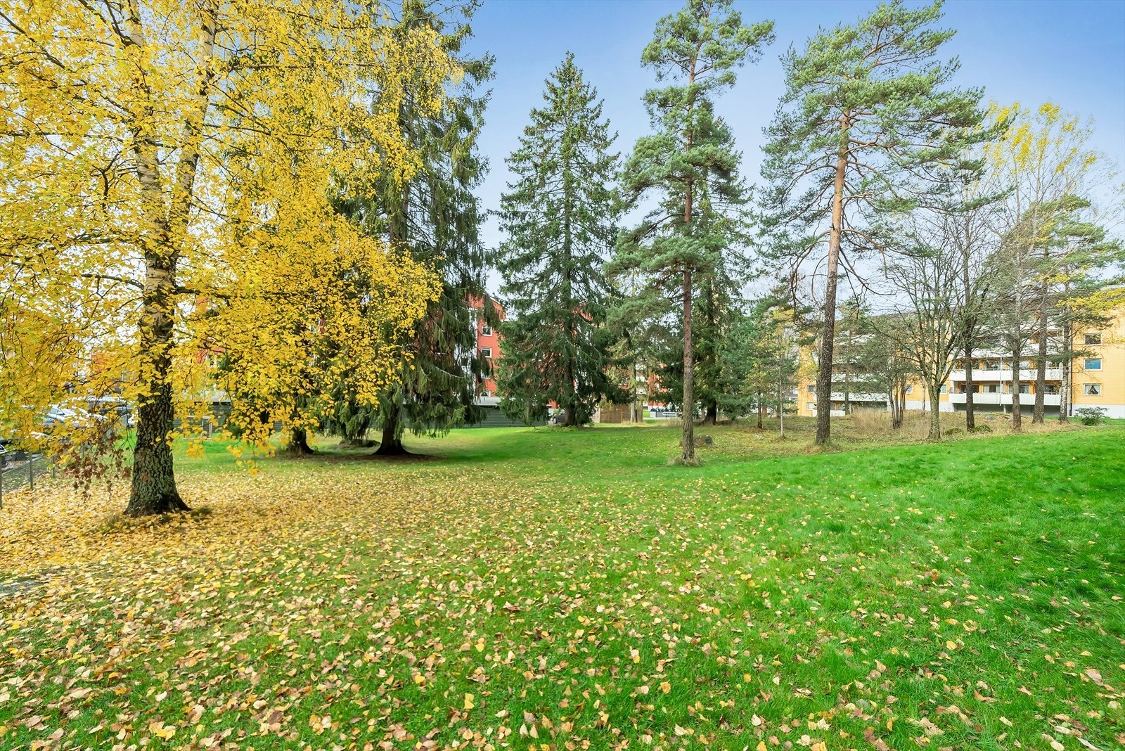 Meget barnevennlige fellestomt med store grøntarealer. Galleribilde