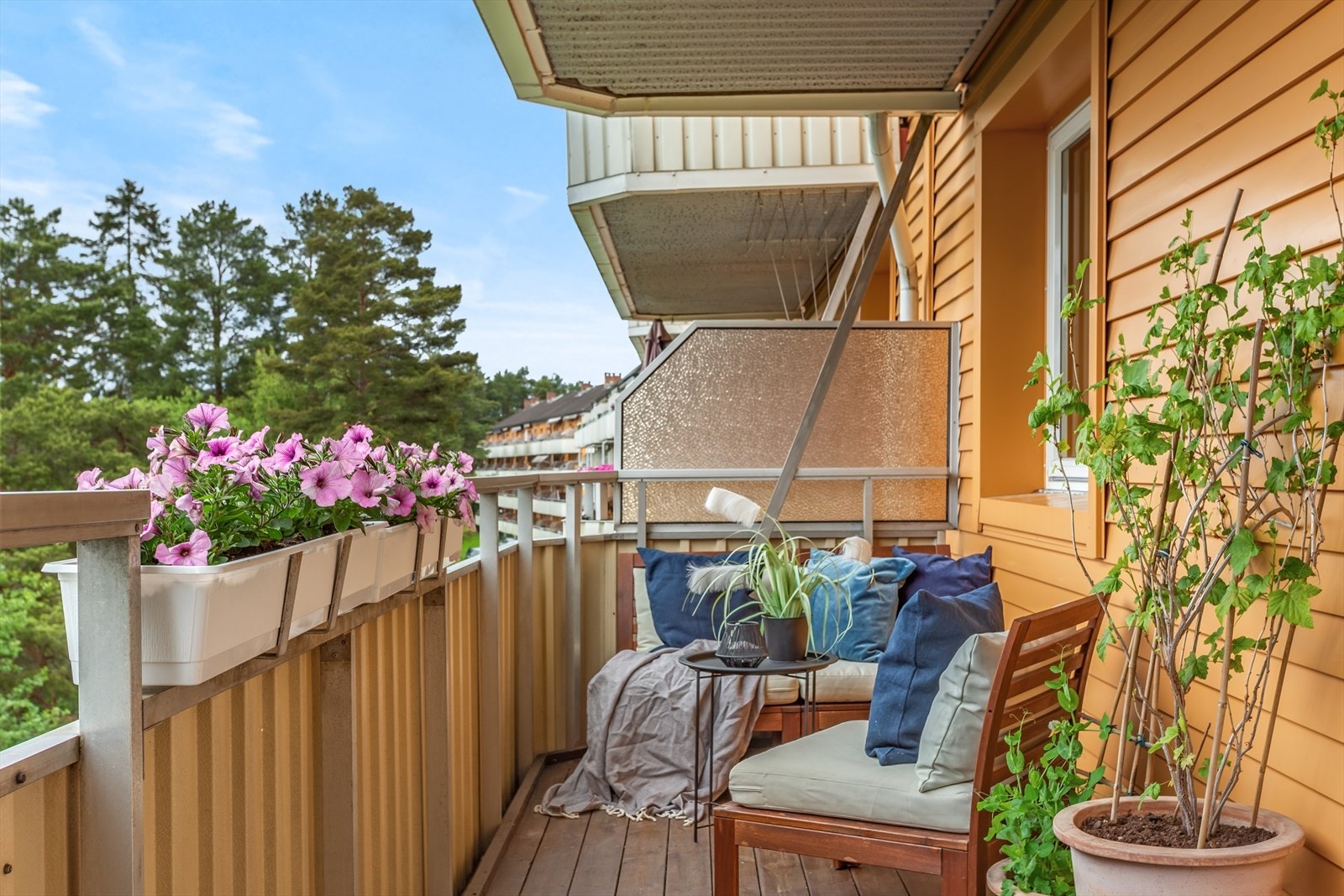 Ta med morgenkaffen ut hit! Galleribilde