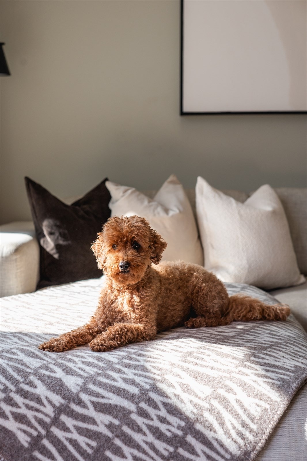 Dyrehold er tillatt så lenge det ikke er til sjenanse for øvrige beboere. Galleribilde