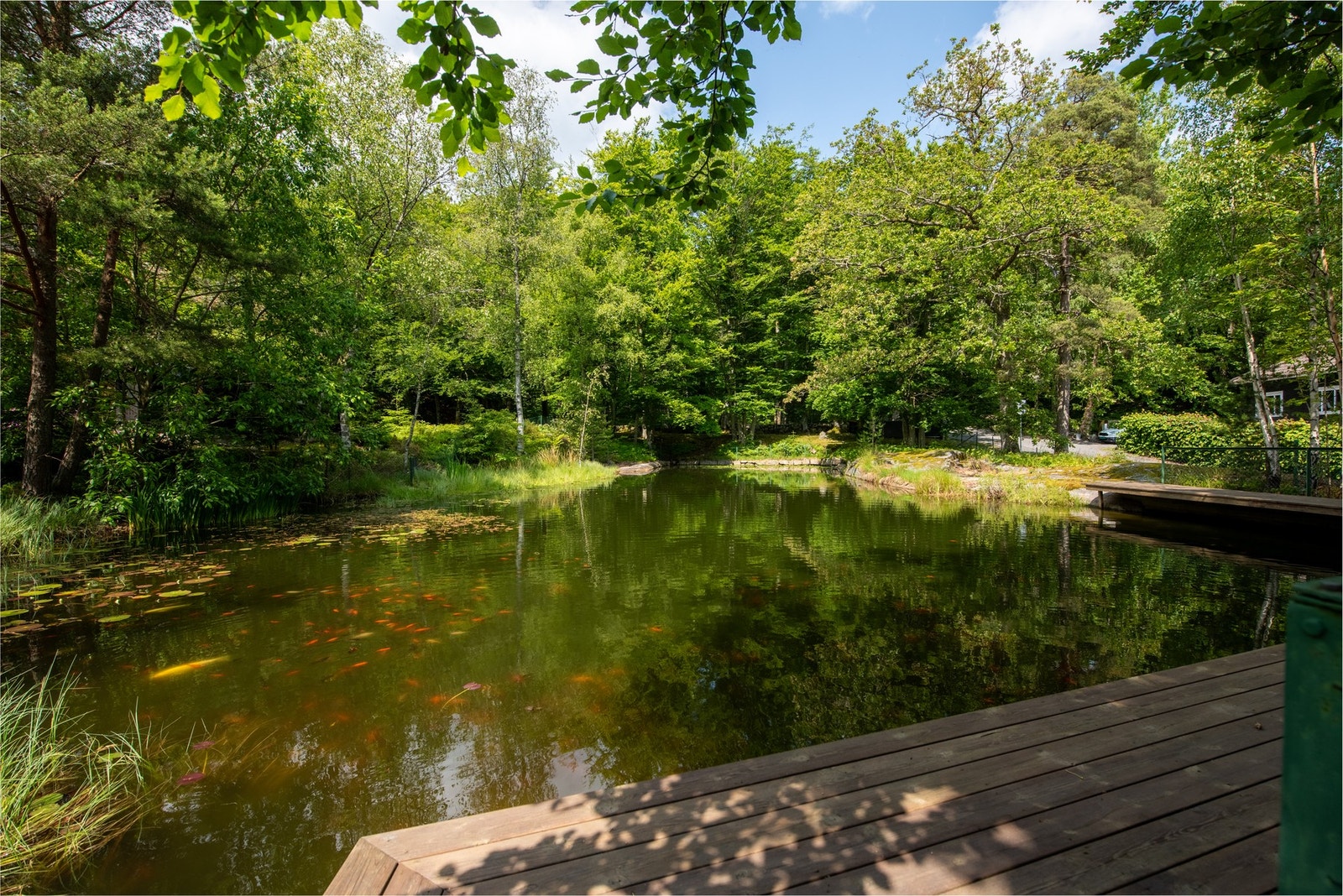 Eiendommen er som ditt eget private parkområde med flere steder du kan koble av Galleribilde