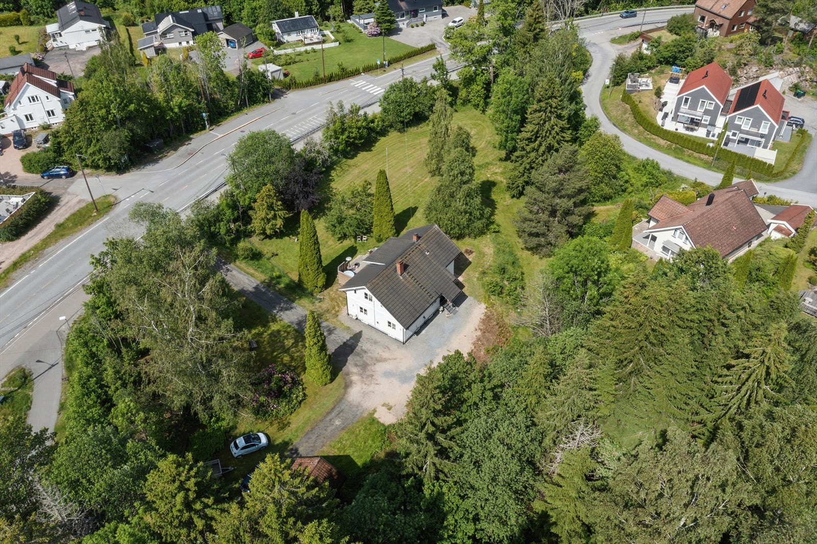 Sjelden sjanse på Sætre. Galleribilde