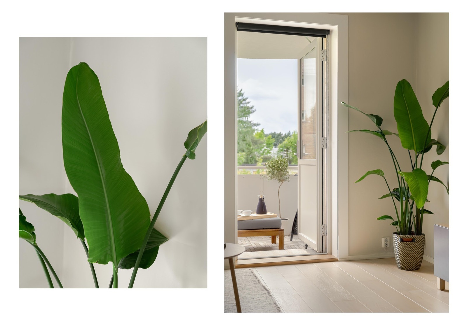 Dette er en lys og innbydende 2-roms hjørneleilighet med en sentral beliggenhet på Grefsen. La oss starte innvendig med å se på den fine stua. Galleribilde