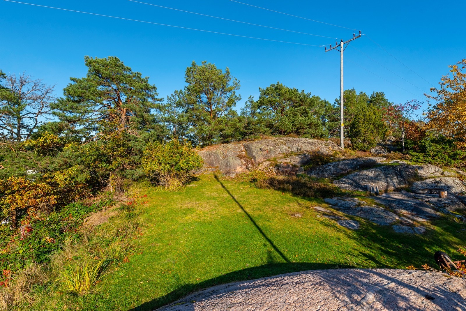 Stor tomt, opparbeidet og beplantet med plen, prydbusker og blomster Galleribilde