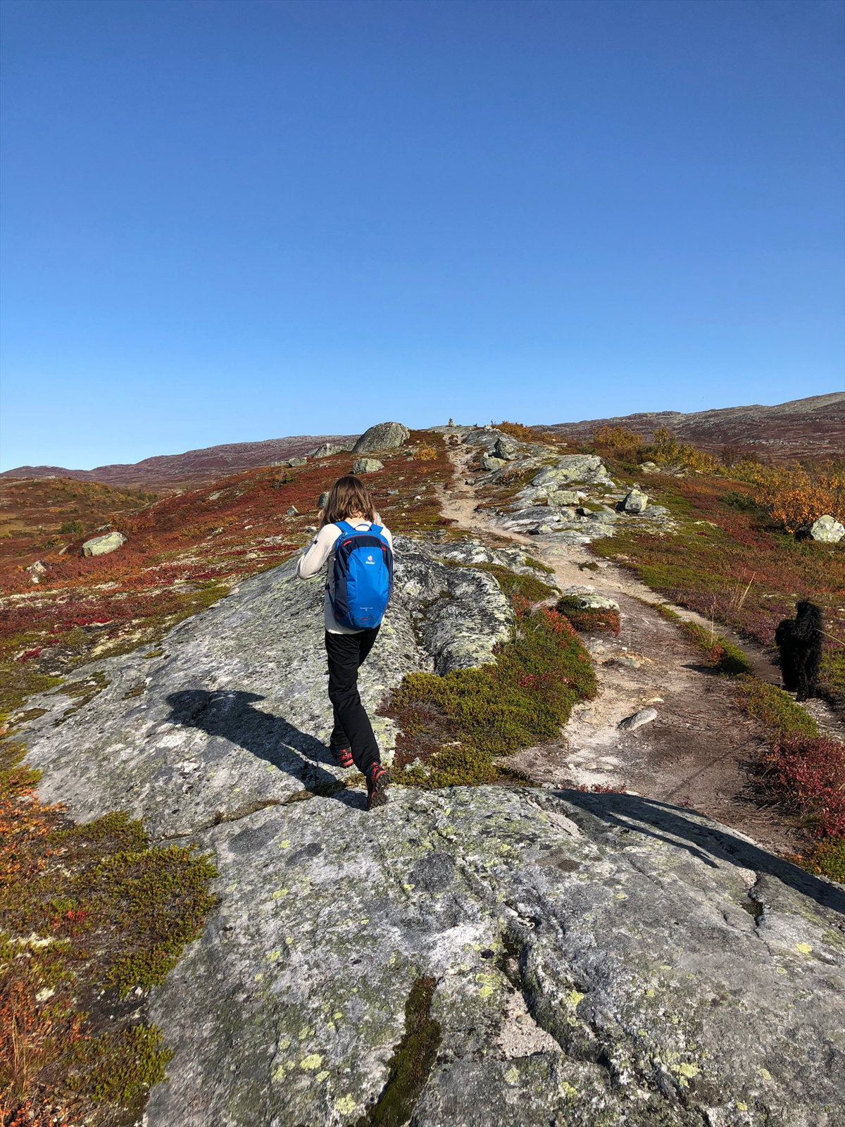 Selgers egne bilder Galleribilde