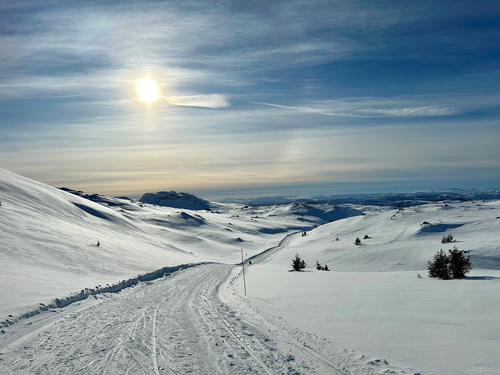 Selgers egne bilder Galleribilde