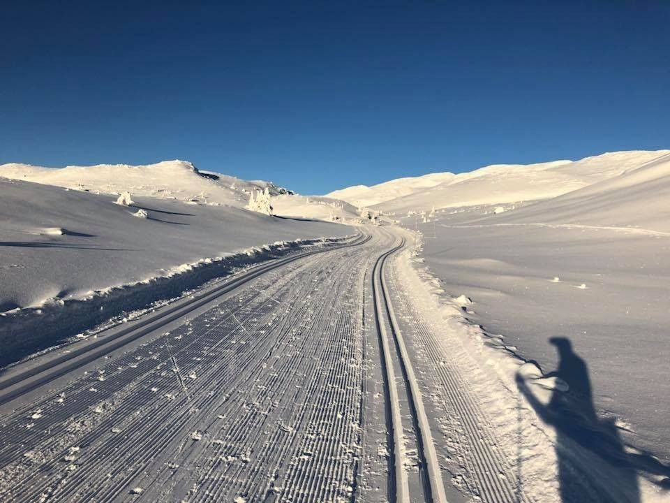 Selgers egne bilder Galleribilde