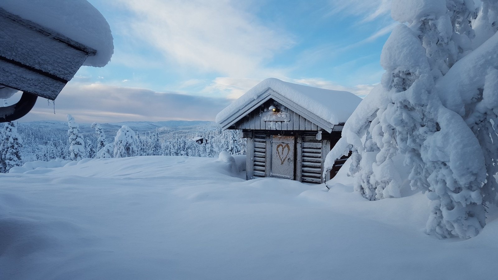 Magisk vinter i snøsikkert område Galleribilde