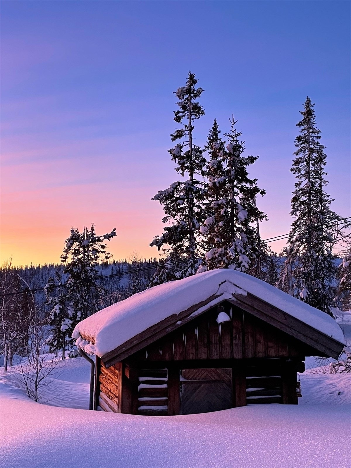 Selgers egne bilder Galleribilde