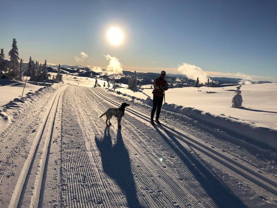 Selgers egne bilder Galleribilde