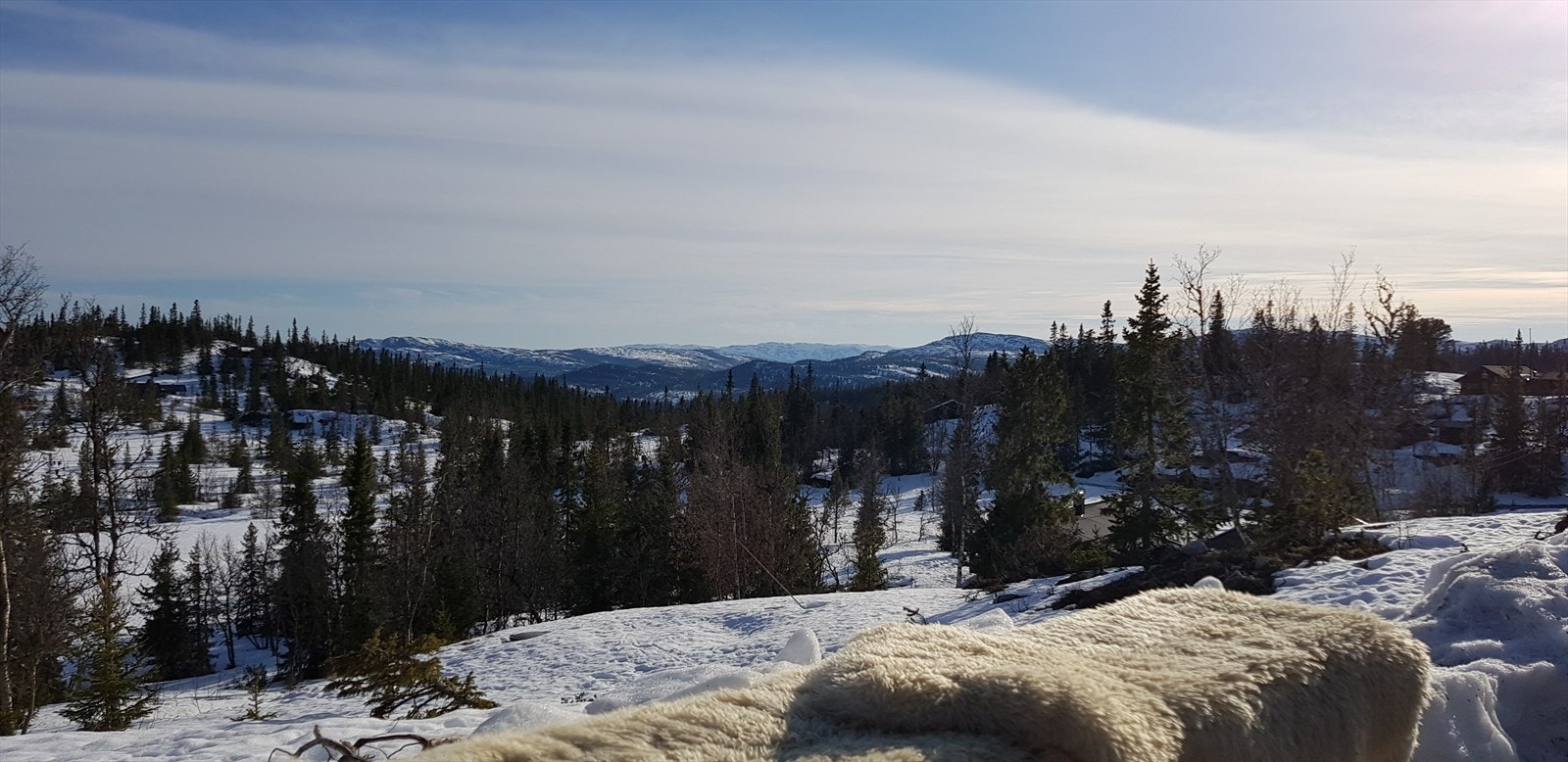 Selgers egne bilder Galleribilde